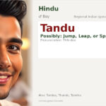 Tandu Name Meaning and Details