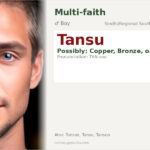 Tansu Name Meaning and Details