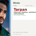 Tarpan Name Meaning and Details