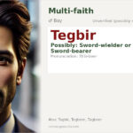 Tegbir Name Meaning and Details