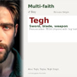 Tegh Name Meaning and Details