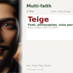 Teige Name Meaning and Details