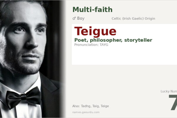 Teigue Name Meaning — Irish Origin, Boy Name & History (2025)