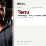 Tenu Name Meaning and Details