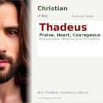 Thadeus Name Meaning and Details