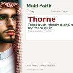 Thorne Name Meaning and Details