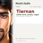 Tiernan Name Meaning and Details