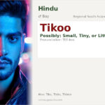 Tikoo Name Meaning and Details