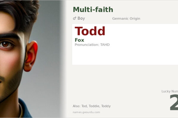 Todd Name Meaning — Origin, Gender & Details (2025)