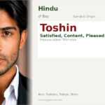 Toshin Name Meaning and Details