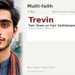 Trevin Name Meaning and Details