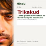 Trikakud Name Meaning and Details
