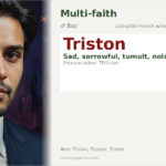 Triston Name Meaning and Details