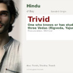 Trivid Name Meaning and Details