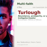 Turlough Name Meaning and Details