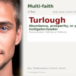 Turlough Name Meaning and Details