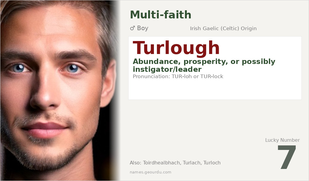 Turlough Name Meaning and Details
