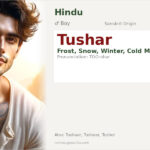 Tushar Name Meaning and Details