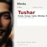 Tushar Name Meaning and Details