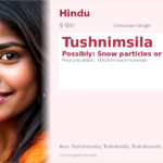 Tushnimsila Name Meaning and Details