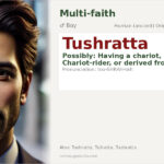 Tushratta Name Meaning and Details