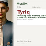 Tyriq Name Meaning and Details