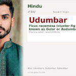 Udumbar Name Meaning and Details
