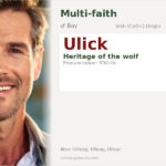 Ulick Name Meaning and Details