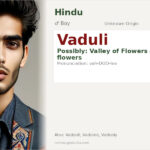 Vaduli Name Meaning and Details
