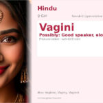 Vagini Name Meaning and Details