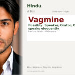 Vagmine Name Meaning and Details