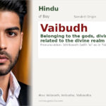 Vaibudh Name Meaning and Details