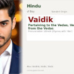 Vaidik Name Meaning and Details