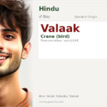 Valaak Name Meaning and Details