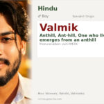 Valmik Name Meaning and Details