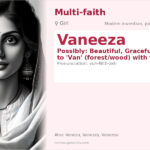 Vaneeza Name Meaning and Details
