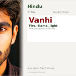 Vanhi Name Meaning and Details