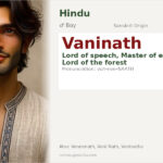 Vaninath Name Meaning and Details