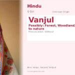 Vanjul Name Meaning and Details