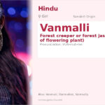 Vanmalli Name Meaning and Details