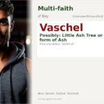 Vaschel Name Meaning and Details