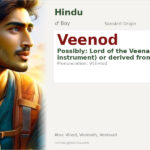 Veenod Name Meaning and Details