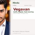 Vegavan Name Meaning and Details