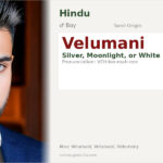 Velumani Name Meaning and Details