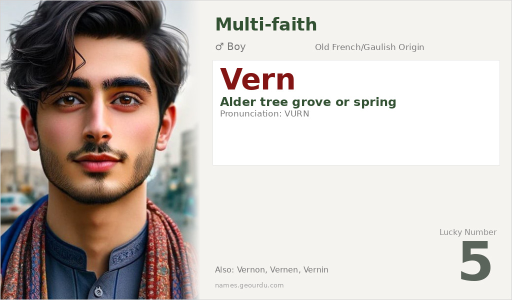 Vern Name Meaning and Details