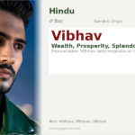 Vibhav Name Meaning and Details