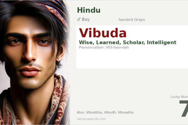 Vibuda Name Meaning — Sanskrit Origin, Boy Name & Details (2025)
