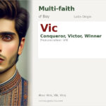 Vic Name Meaning and Details