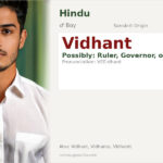 Vidhant Name Meaning and Details