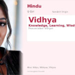 Vidhya Name Meaning and Details